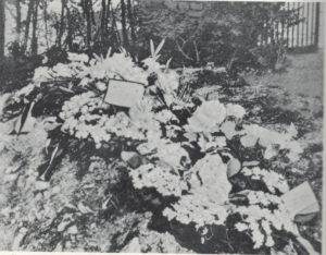 The British buried Richthofen with full military honors, and even dropped pictures of his grave behind German lines. Mannock, needless to say, wasn't susceptible to such sentimentality.